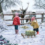 Feeding Reindeer