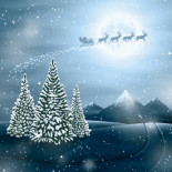 Moon Lit Landscape