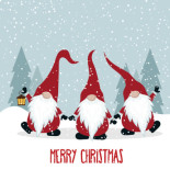 Three Christmas Gnomes
