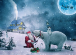Santa & the Polar Bear