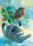 Robin on a Watering Can
